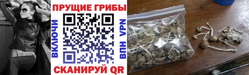 Псилоцибиновые грибы мухоморы  Каменск-Уральский 